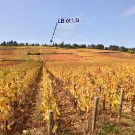 Lb Et Lb 3* Beaune (Cote d'Or)