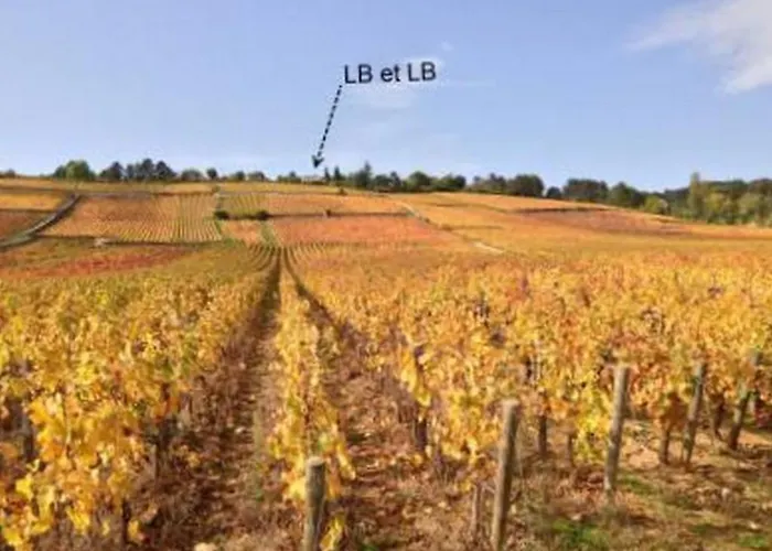 Lb Et Lb 3* Beaune (Cote d'Or)